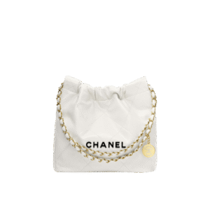 C-18---Chanel 22 handbag