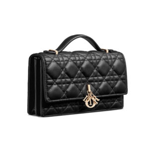 D-10---My Dior Mini Bag